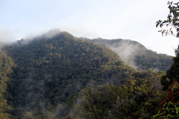 Get To Know The Tallest Peaks in South East Asia