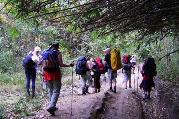 Get To Know The Tallest Peaks in South East Asia