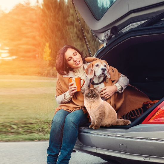 Pet Travel Assurance